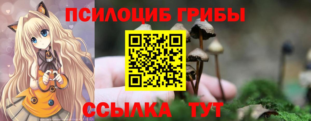 Долгопрудный  Галлюциногенные грибы GOLDEN TEACHER  Вход с VPN  Галлюциногенные грибы Cubensis 